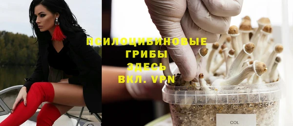 MDMA Premium VHQ Белоозёрский